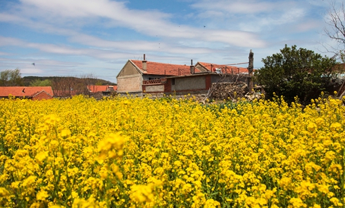 生態“優等生”續寫綠色多元新答卷