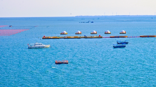 滿帆進發 駛向“深藍”