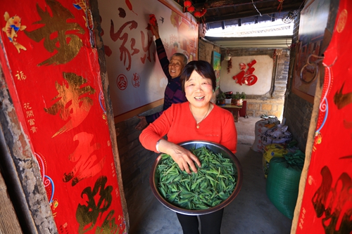 有“鄉愁”更有奔頭