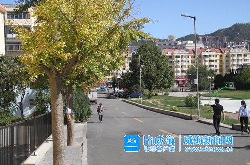 臟亂差變身小清新