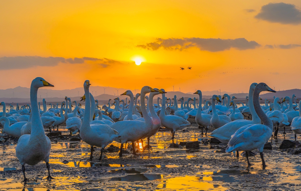 中國(guó)日?qǐng)?bào)聚焦 | 全國(guó)人大代表孔凡萍：提振消費(fèi) 開(kāi)拓經(jīng)濟(jì)增長(zhǎng)新空間